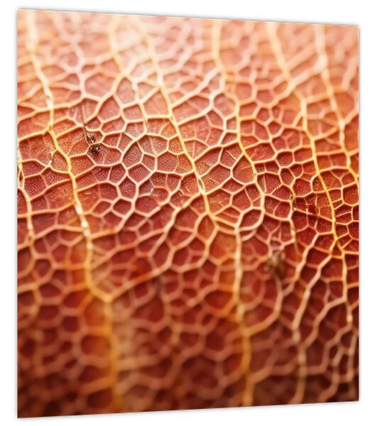 Obraz - Detail textury (30x30 cm)