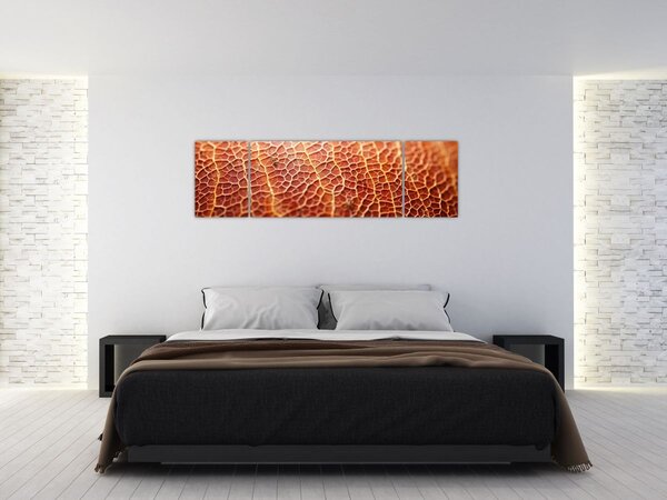 Obraz - Detail textury (170x50 cm)