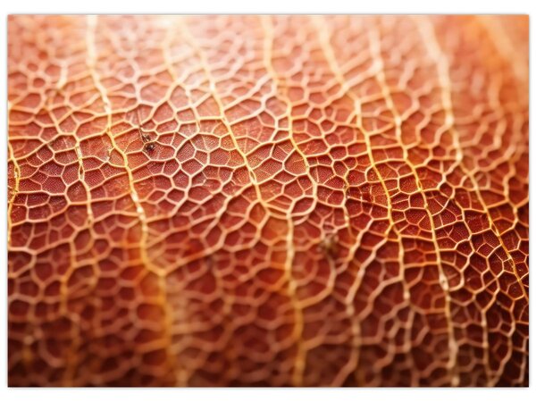 Obraz - Detail textury (70x50 cm)