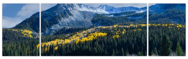 Obraz - Lost Lake, Oregon (170x50 cm)