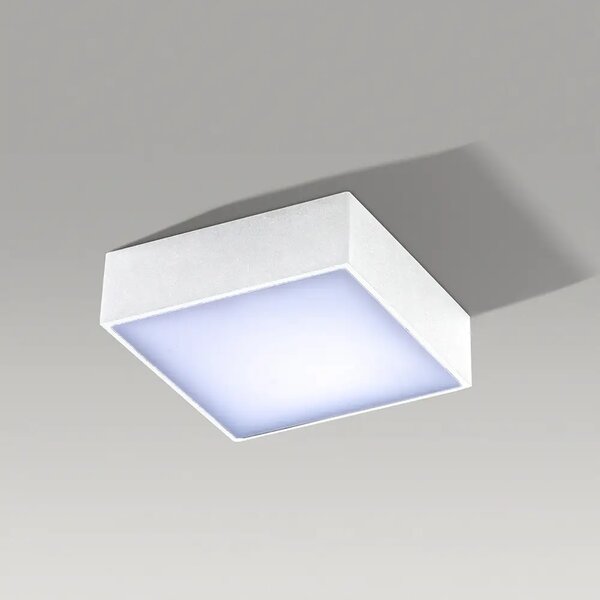 LED bodové světlo Falco 12 3000K bílé