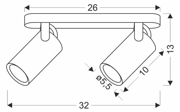 Nástěnné / stropní bodové svítidlo GARY - 2xGU10, 15W, černé