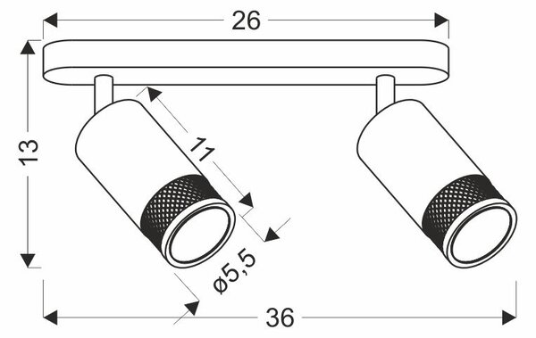 Nástěnné / stropní bodové svítidlo FLIN - 2xGU10, 15W, černé / zlaté