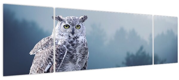Obraz - Sova sněžná (170x50 cm)
