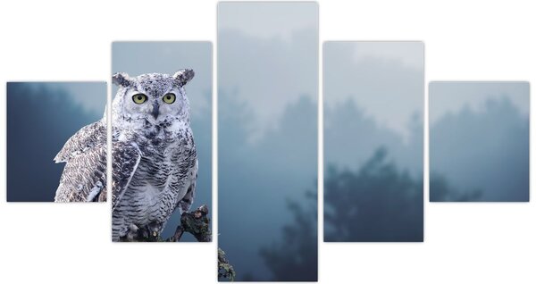 Obraz - Sova sněžná (125x70 cm)
