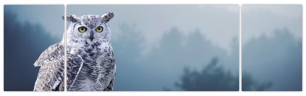 Obraz - Sova sněžná (170x50 cm)