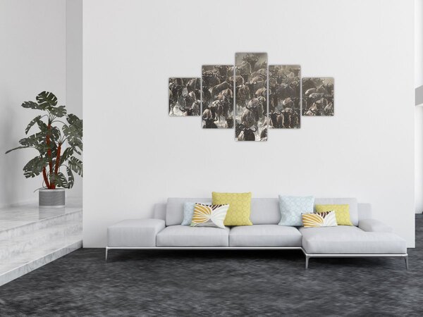 Obraz - Stádo pakoňů (125x70 cm)