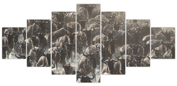 Obraz - Stádo pakoňů (210x100 cm)
