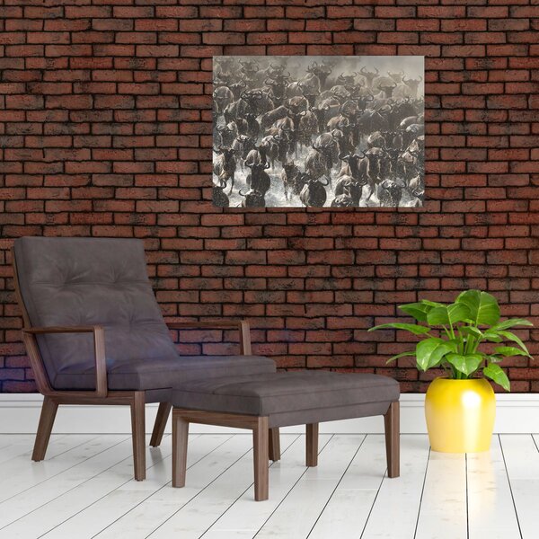 Obraz - Stádo pakoňů (70x50 cm)