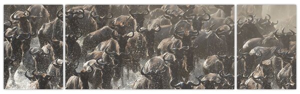 Obraz - Stádo pakoňů (170x50 cm)