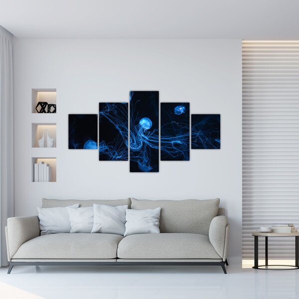 Obraz - Medúzy (125x70 cm)