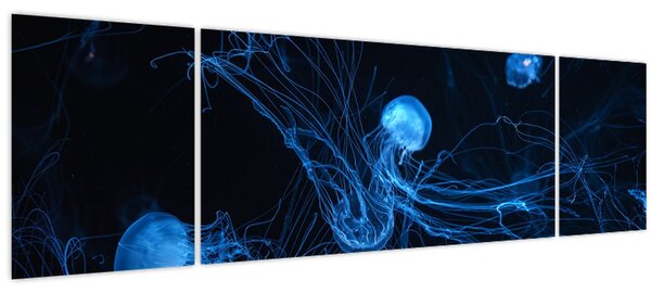 Obraz - Medúzy (170x50 cm)