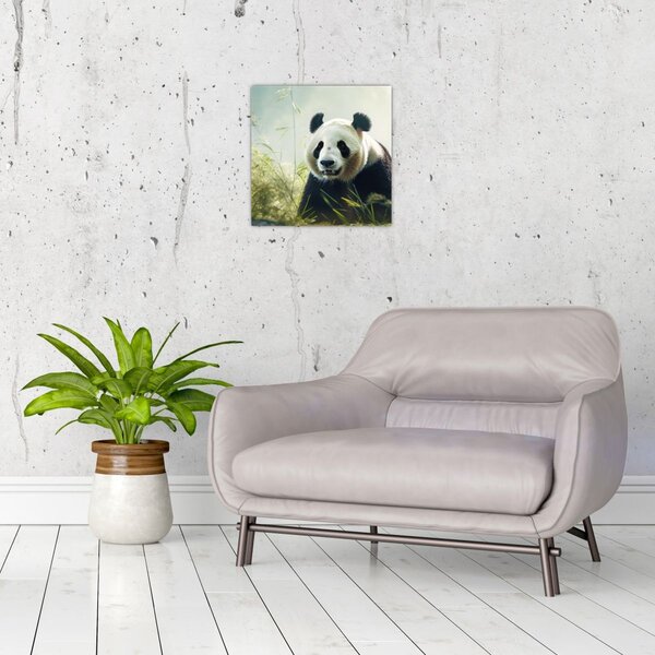 Obraz - Panda (30x30 cm)