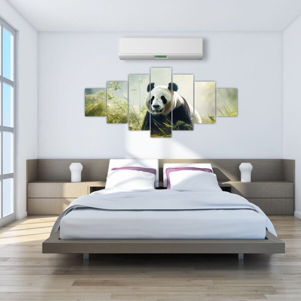 Obraz - Panda (210x100 cm)
