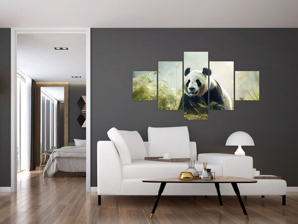 Obraz - Panda (125x70 cm)