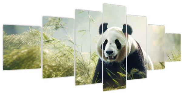 Obraz - Panda (210x100 cm)