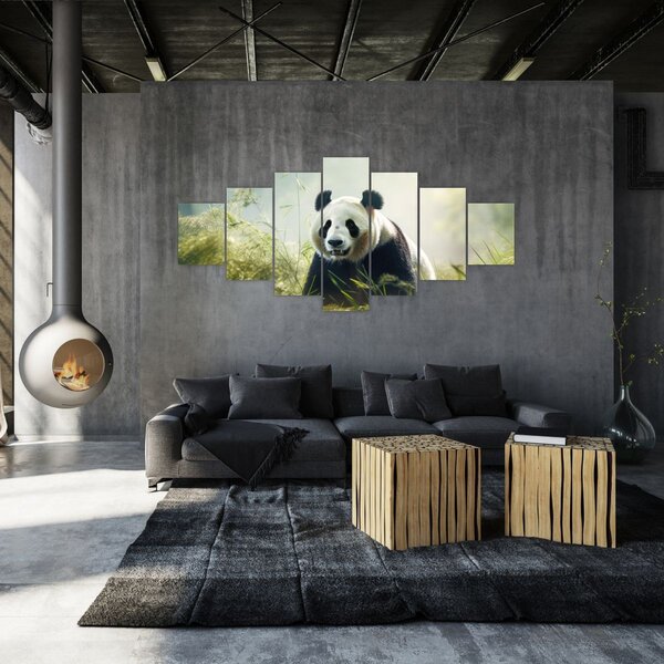 Obraz - Panda (210x100 cm)