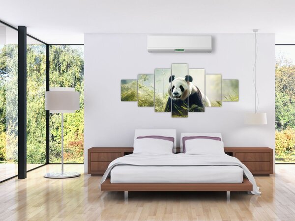 Obraz - Panda (210x100 cm)