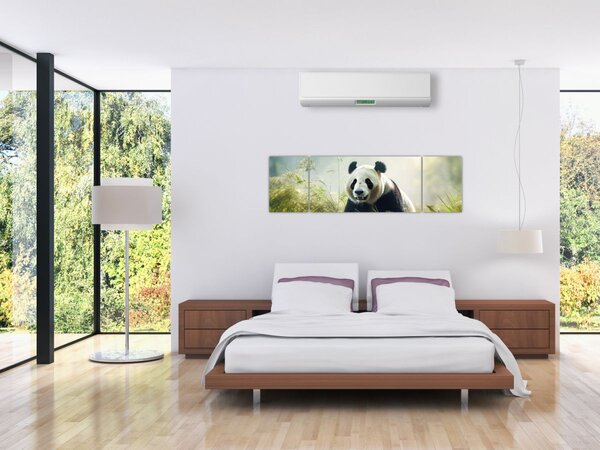 Obraz - Panda (170x50 cm)