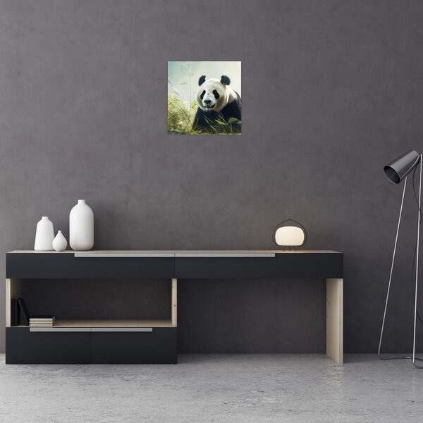 Obraz - Panda (30x30 cm)