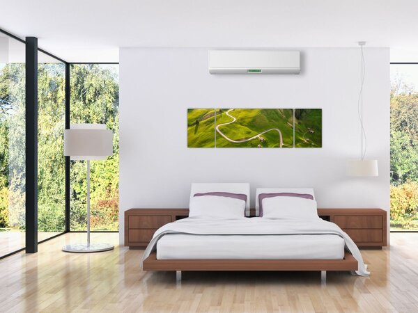 Obraz - Náhorní louka (170x50 cm)