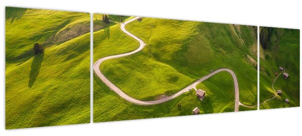 Obraz - Náhorní louka (170x50 cm)