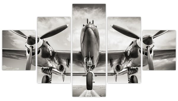 Obraz - Warbird (125x70 cm)