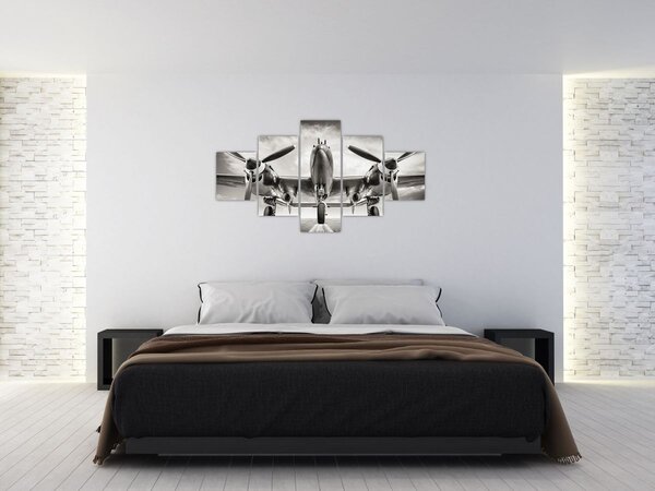 Obraz - Warbird (125x70 cm)