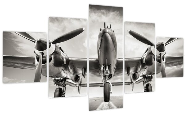 Obraz - Warbird (125x70 cm)