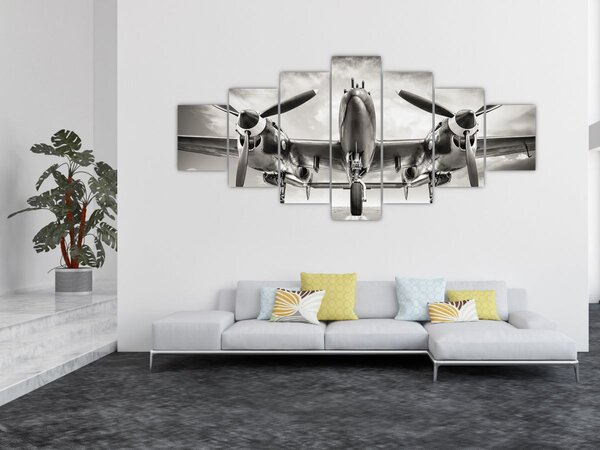 Obraz - Warbird (210x100 cm)