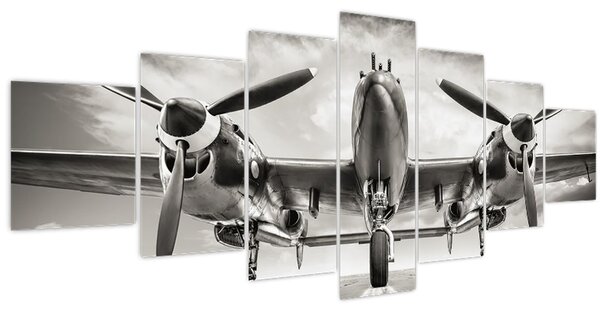 Obraz - Warbird (210x100 cm)