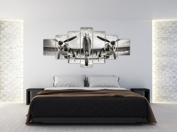 Obraz - Warbird (210x100 cm)