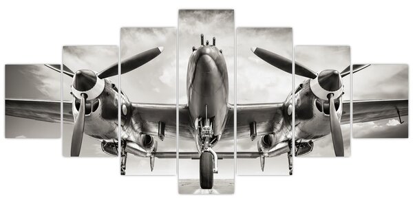 Obraz - Warbird (210x100 cm)