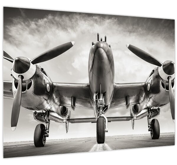 Obraz - Warbird (70x50 cm)
