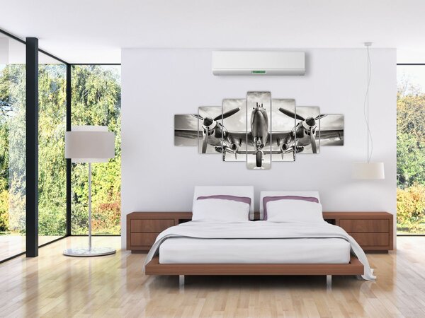 Obraz - Warbird (210x100 cm)