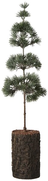 Umělý stromek Cedar Tree 60 cm