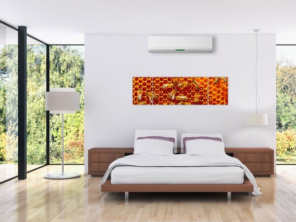 Obraz - Medová plástev (170x50 cm)