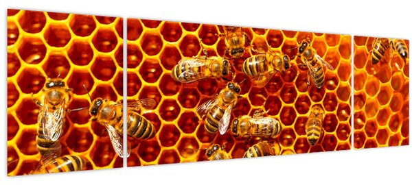 Obraz - Medová plástev (170x50 cm)