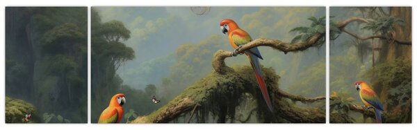 Obraz - Tropický les (170x50 cm)