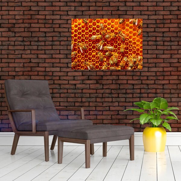 Obraz - Medová plástev (70x50 cm)