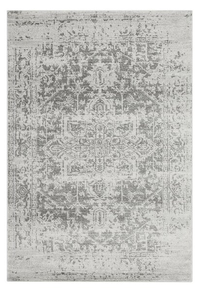 Šedý koberec 80x150 cm Nova – Asiatic Carpets