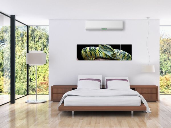 Obraz - Chřestýšovec Waglerův (170x50 cm)