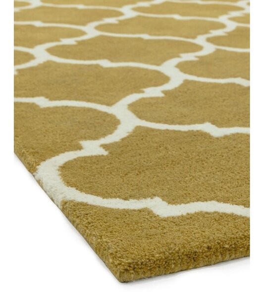 Okrově žlutý ručně tkaný vlněný koberec 120x170 cm Albany – Asiatic Carpets