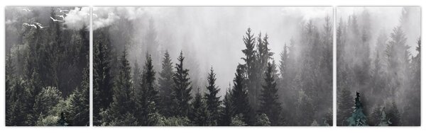 Obraz - Les s ilustrovanými prvky (170x50 cm)