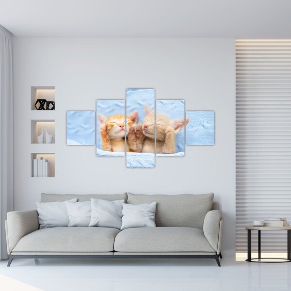 Obraz - Spící koťátka (125x70 cm)