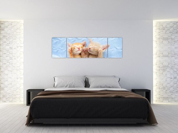 Obraz - Spící koťátka (170x50 cm)