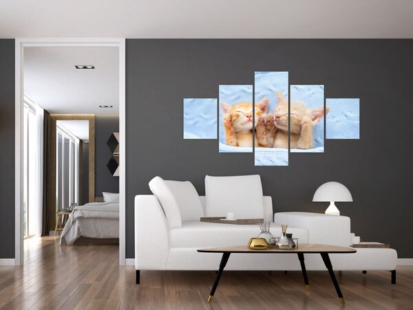 Obraz - Spící koťátka (125x70 cm)