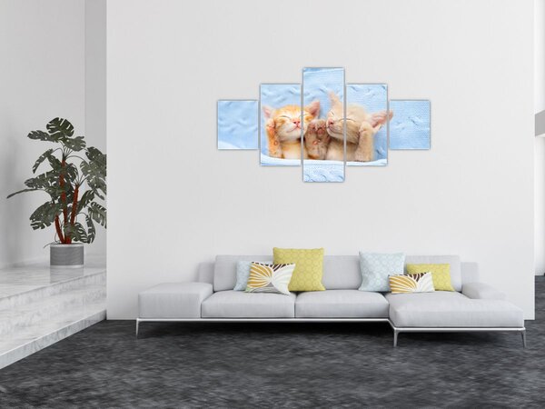Obraz - Spící koťátka (125x70 cm)
