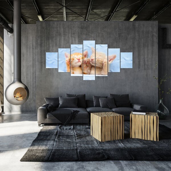 Obraz - Spící koťátka (210x100 cm)