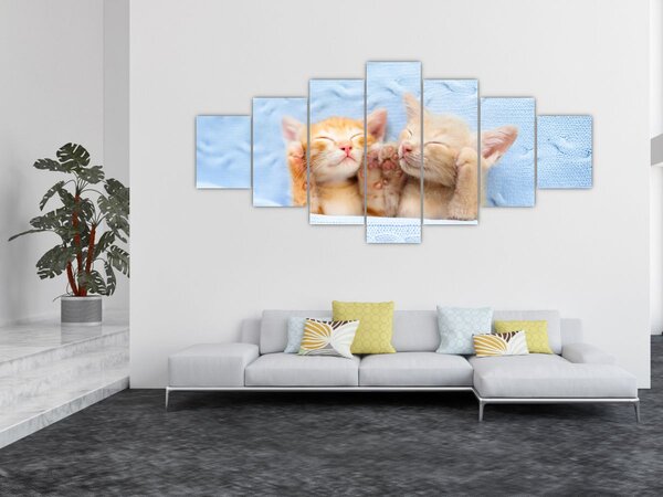 Obraz - Spící koťátka (210x100 cm)
